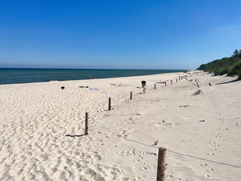 24-06-25 10-51-18 9880